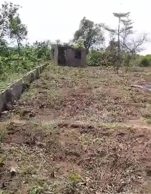 Photo - One Plot of Farm Land for Rent in Ajebo.