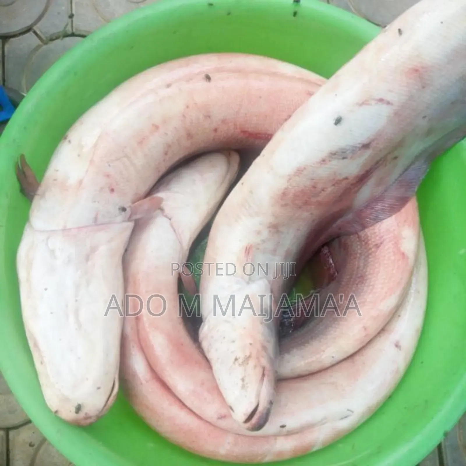 River Tilapia & Seafood