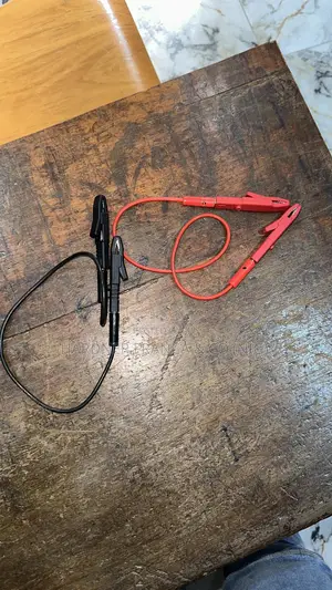 Alligator Clip And Wire