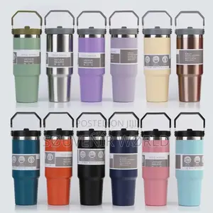 Temperature Insulated Water Flask