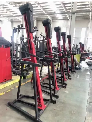 Commercial Step Upright Climber