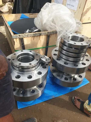 Stainless Steel Flanges