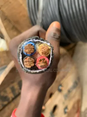 25mm Nigerchin Armoured Cable