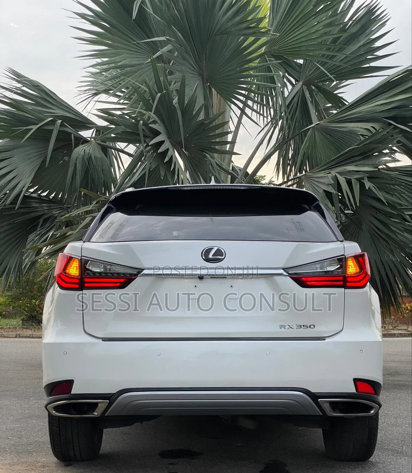 Lexus RX 350 2023 White