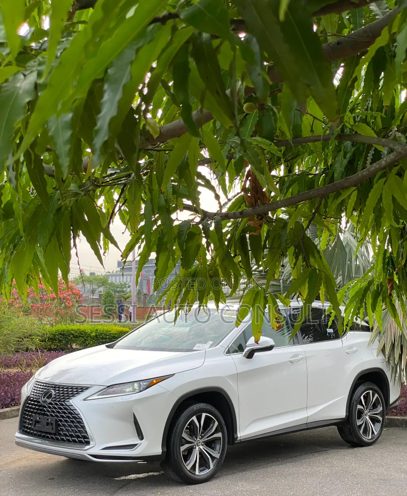 Lexus RX 350 2023 White