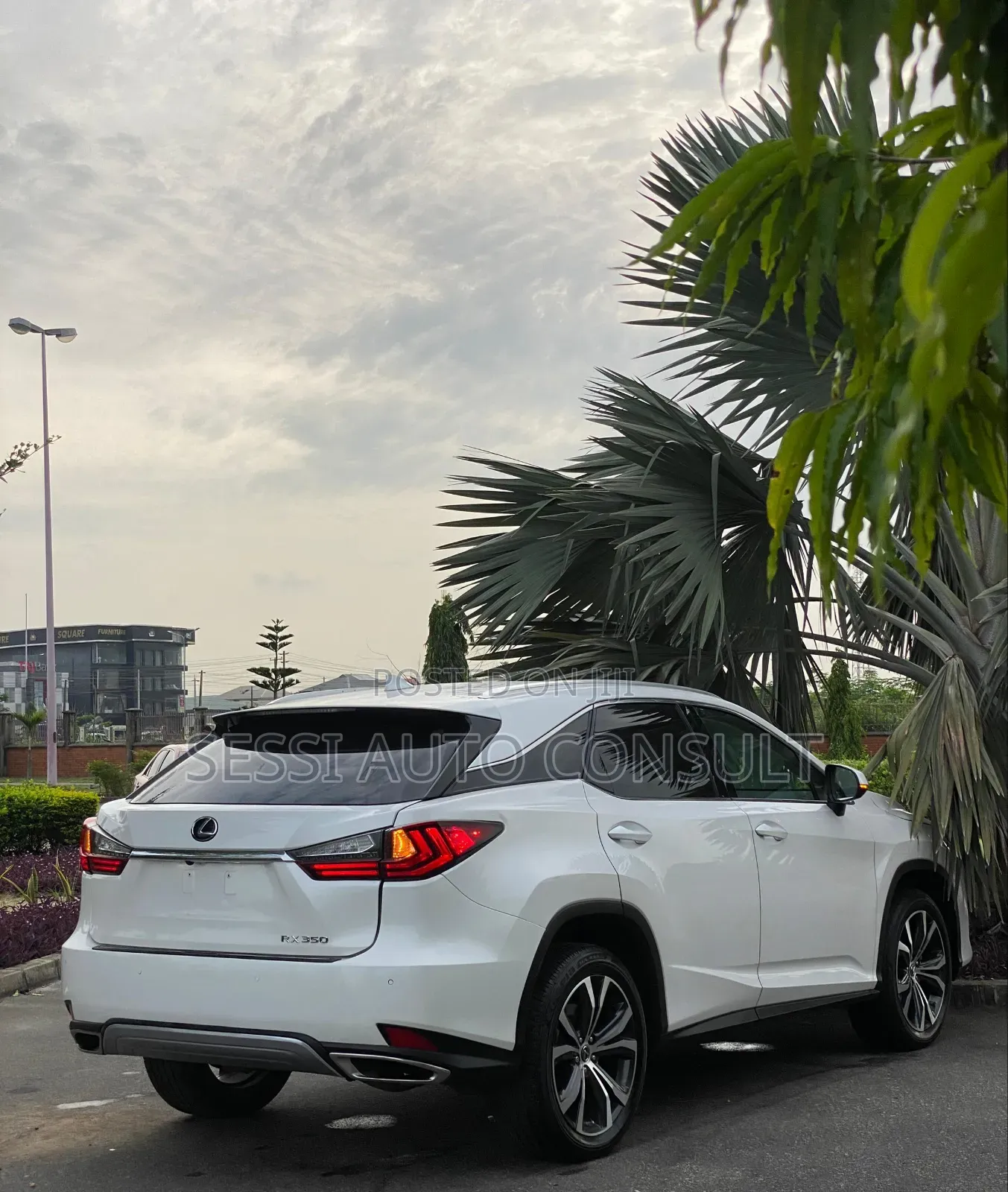Lexus RX 350 2023 White