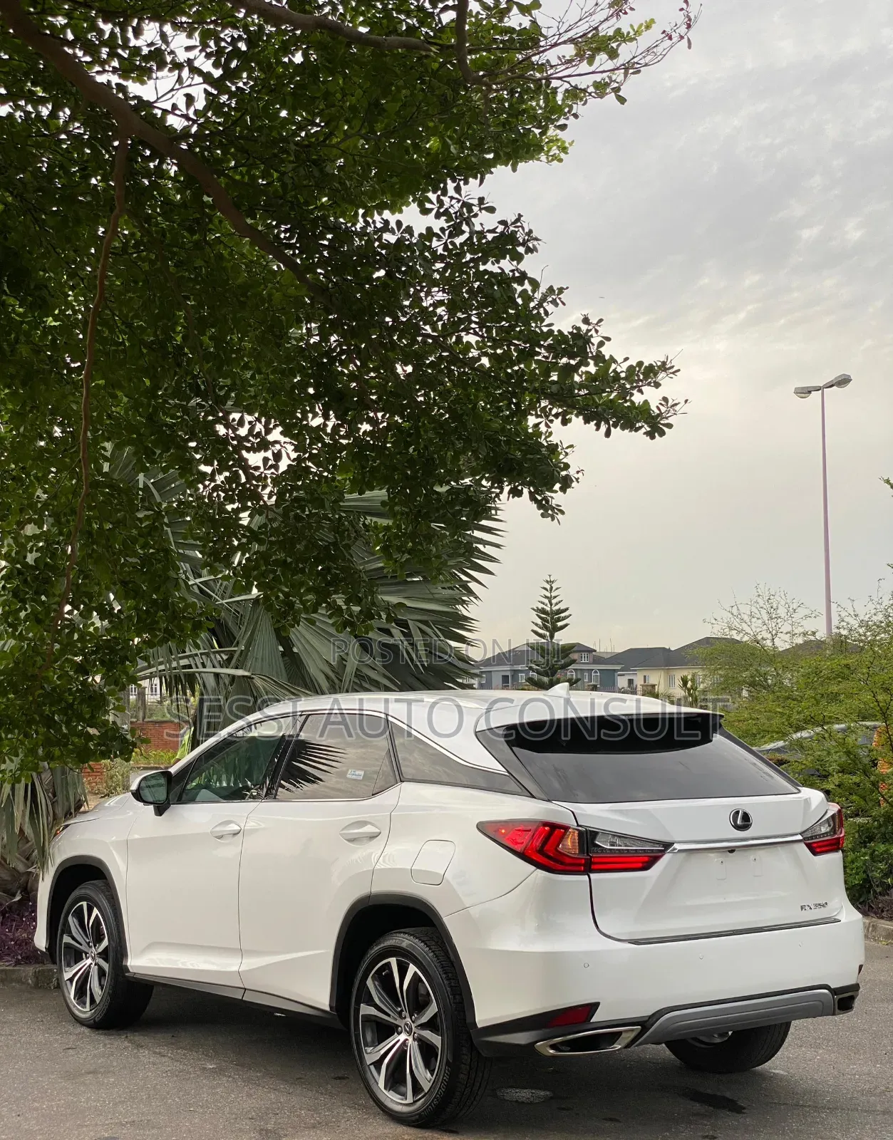 Lexus RX 350 2023 White