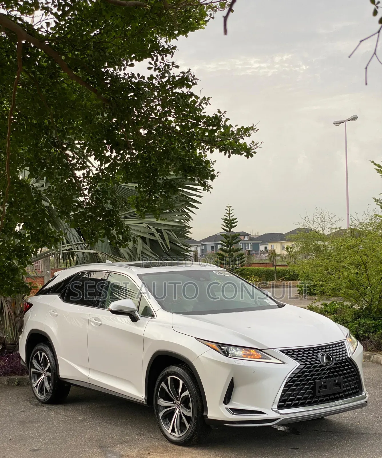 Lexus RX 350 2023 White