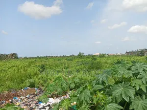 Euc Momes 600sqm Commercial Countryard Orimedu Town
