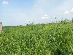 Euc Homes 600sqm Cherywood Ext Leki Freetrade Zone