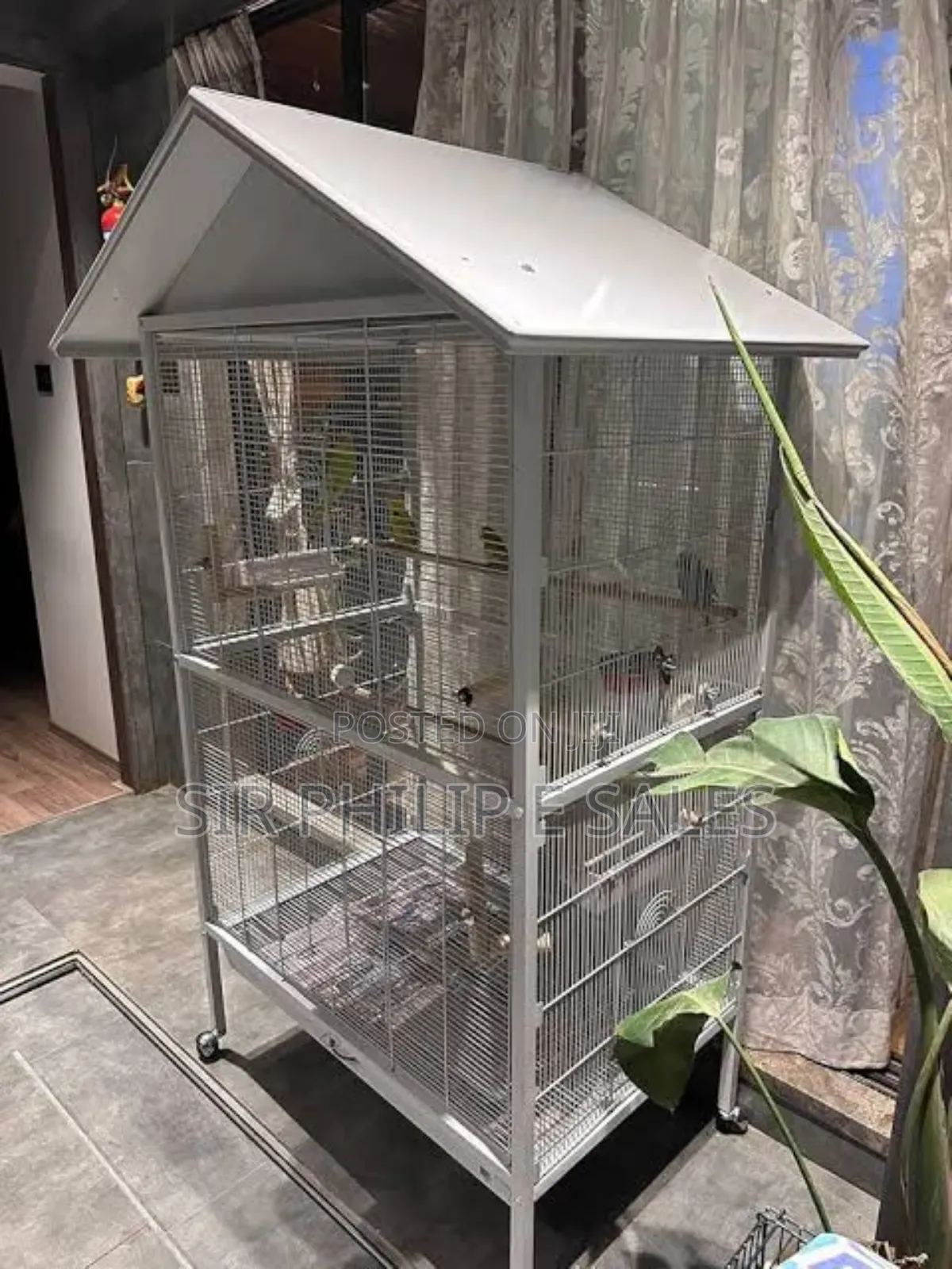Steel Cage
