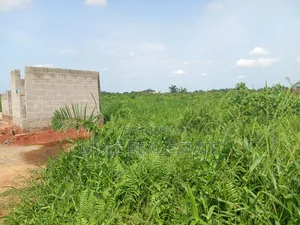 Euc Homes 600sqm Hapton Court Onosa Ibejù Leki