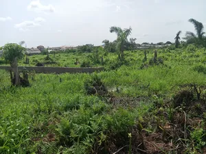 Euc Homes 600sqm Oceanwood Court Ext