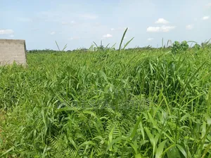 9 Acres Of Dry Land 4 Sale By Redeem New Auditorium