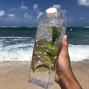 Aesthetic Transparent Milk Water Bottle