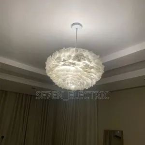 Feathers Dropping Light