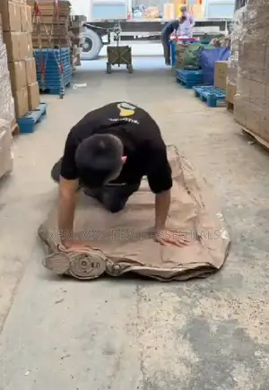 Inflatable Air Bed