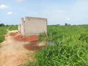 Euc Homes 600sqm Commercial Courtyard