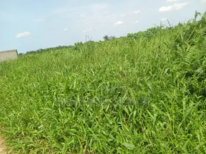 Euc Homes 600sqm Brooksville Courts