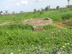 Old Ikoyi Land/ Banana Island 4 Sale ( 1