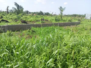 Old Ikoyi Plots 4 Sale Updated Version