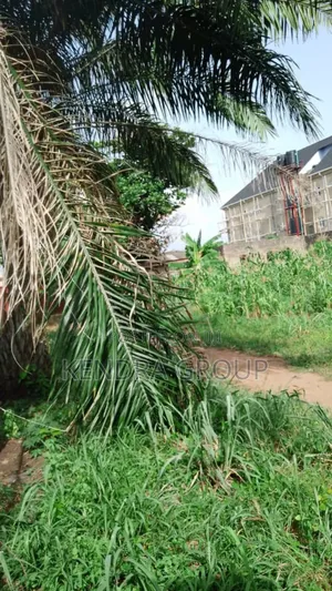 Full Plot of Land for Sale at Omitoro