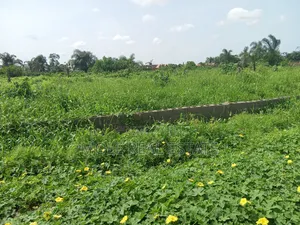 3400sqm Prime Land 4 Sale by St. Gregory Ikoyi