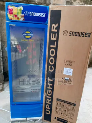 High-Efficiency Upright Fridge - Snowsea Lc-400w 400l