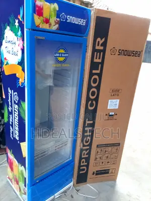 Snowsea Lc-400w Refigerator - Smooth,Quiet Operation