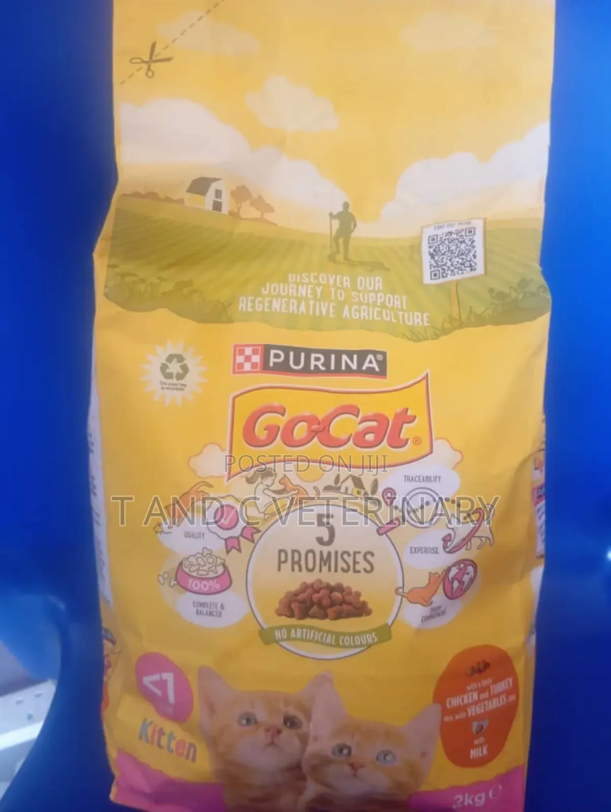 Purina Gocat Kitten Cat Dry Food