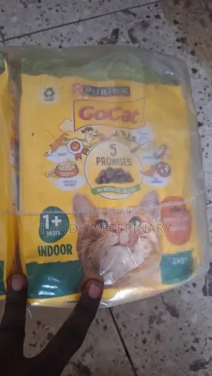 Photo - Purina Gocat Adult Indoor Cat Dry Food