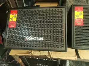 Virgin 15inch Monitor Speaker