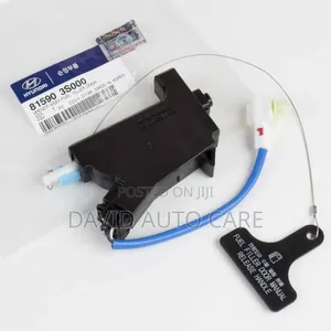 All Hyundai Fuel Lock Available