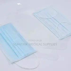Lab Face Mask