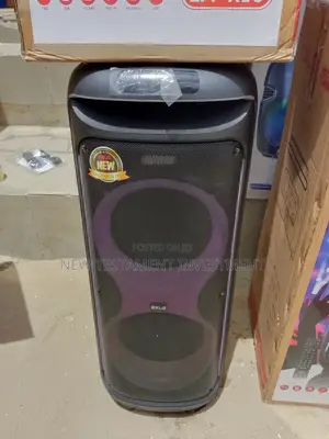 High Quality Exlg Party Speaker 19000watts