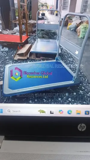 Power 300kg Hand Truck
