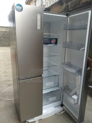 Hisense Double Door 634 L Refrigerator Rs-87ws