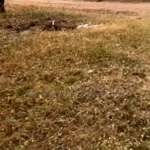 Land Available for Sale