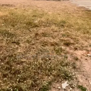 Lovely Land Selling Now