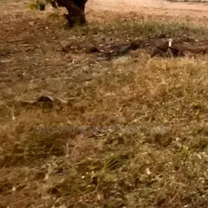 Land at a Very Good Price