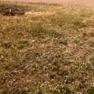Land Available