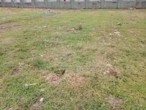 4,300sqm Commercial Land on Bannex Road
