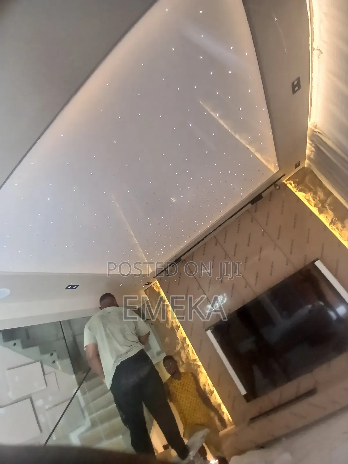 5d Stretch Ceiling