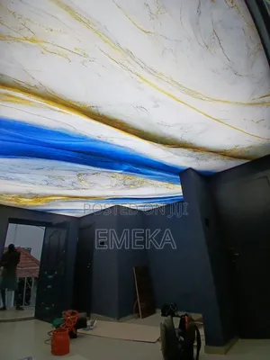 5d Stretch Ceiling