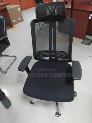 Adjustable Net Chair