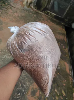 Treated Soil for Snail Farming
