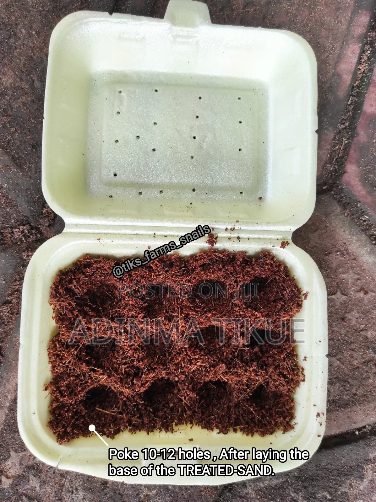 Treated Soil for Snail Farming