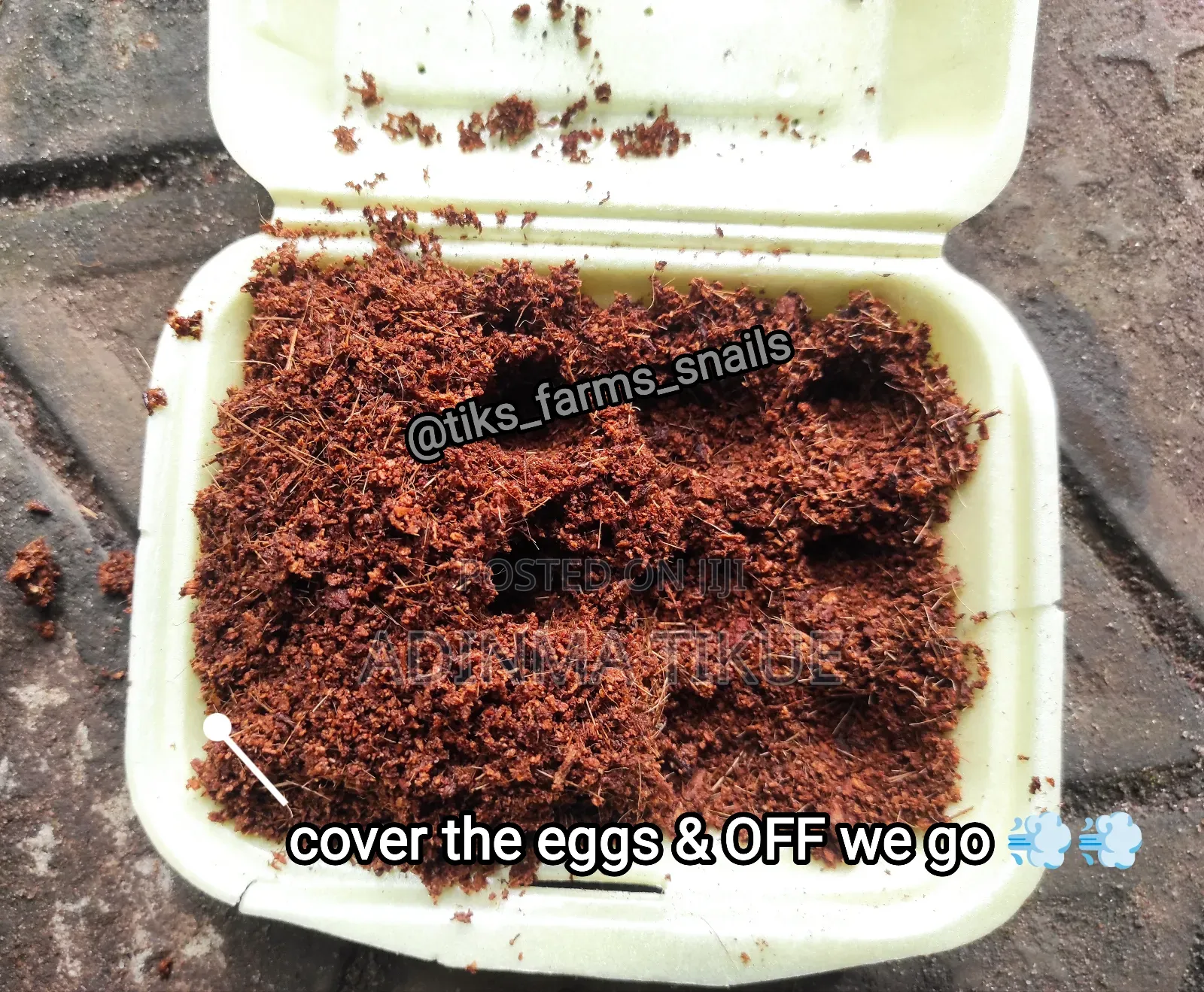 Treated Soil for Snail Farming