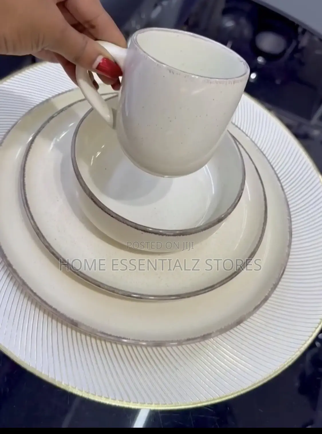 16 Pieces Sleek Dinner Set