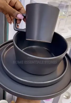 16 Pieces Sleek Dinner Set
